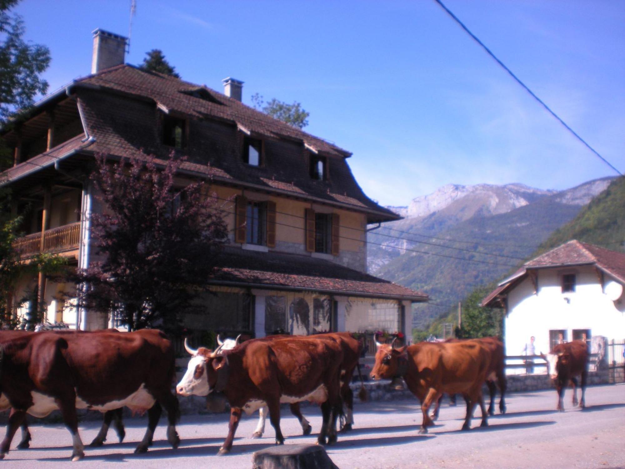 Gite Les Mesanges Thônes Dış mekan fotoğraf